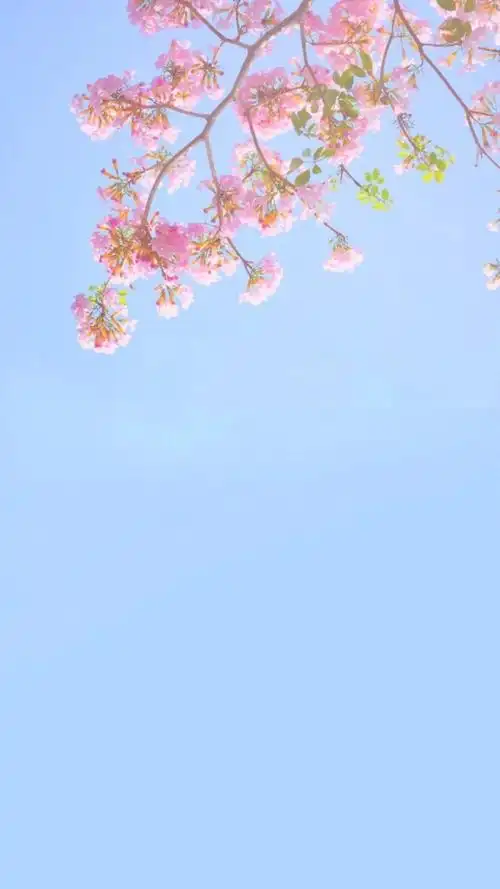 秋高气爽,简约冷淡风爱壁纸平铺锁屏可爱小…-堆糖,美好生活研究所