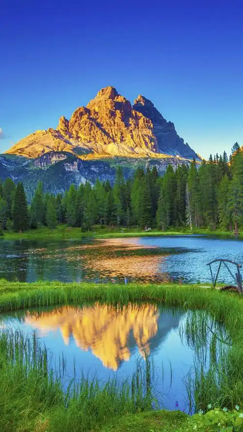 1440_2560竖版 竖屏