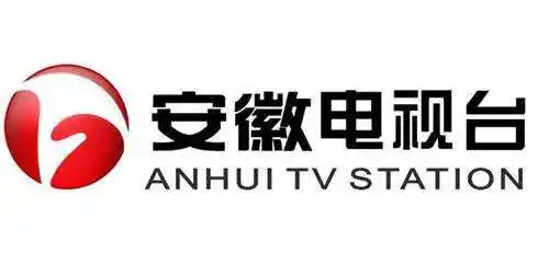 祝贺中国安徽广播电视台项目通过验收