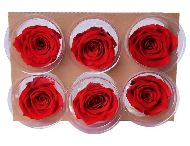6-7cm云南永生玫瑰花保鲜花6朵一盒单色玫瑰花保鲜花花材可定制