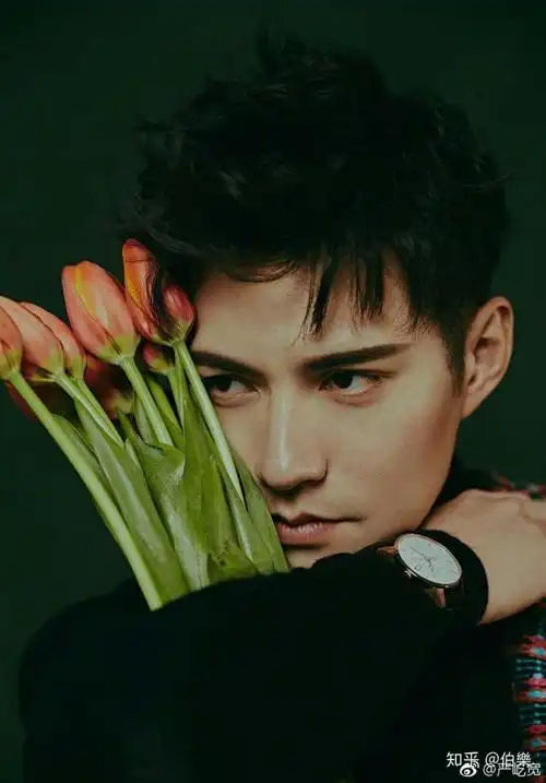 单看脸的话,哪些男明星有小说男主角的逆天颜值?