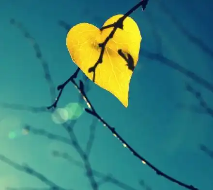 不忘初心_唯美意境图片_扣扣居