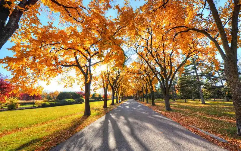唯美秋天景致秋叶风景电脑桌面壁纸下载3
