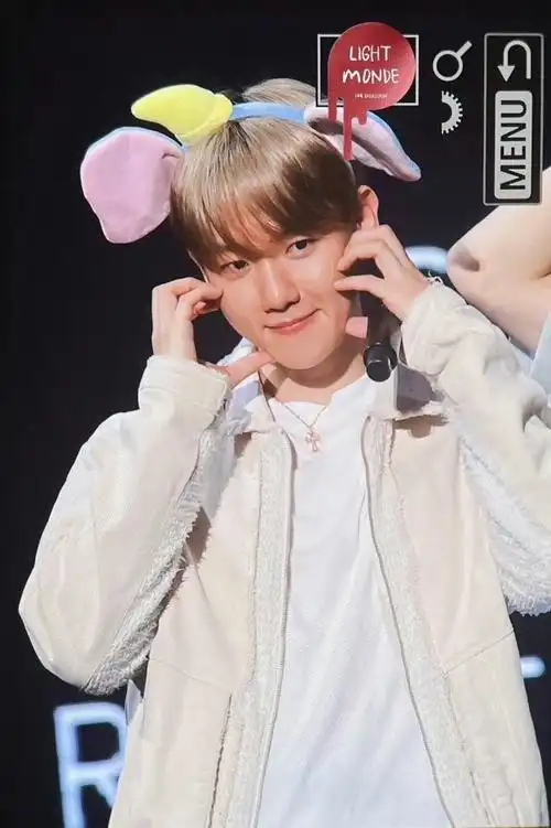 边伯贤生图状态