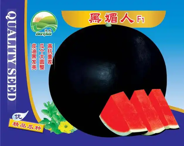 供应黑媚人—西瓜种子