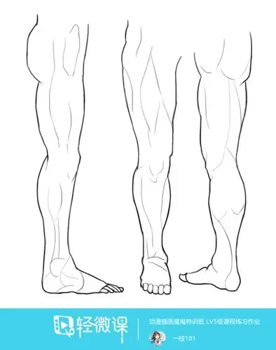 临摹腿—腿部人体肌肉结构入门训练