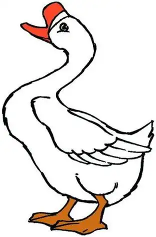 鹅简笔画版千千简笔画跟王老猫画千千简笔画白鹅鹅鹅鹅的简笔画白鹅