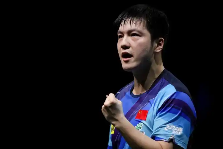 樊振东愤怒了骚扰谩骂影响他的家人小胖直言回国后可能会报警