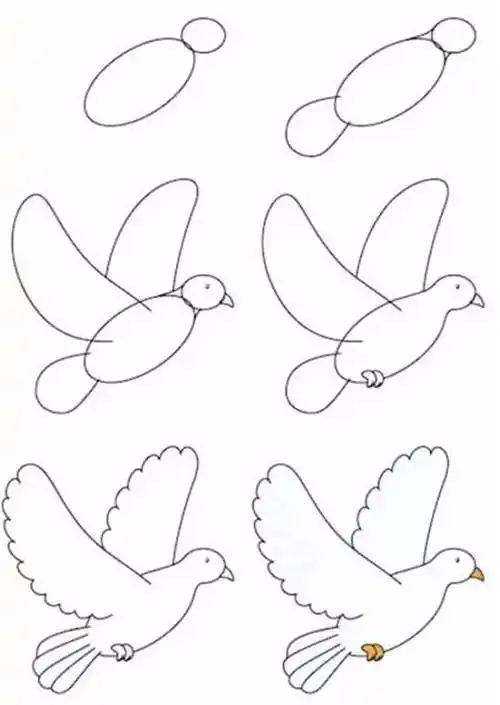 鸽子的简笔画 鸽子的简笔画法