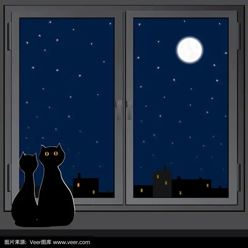 两只猫坐着看夜城