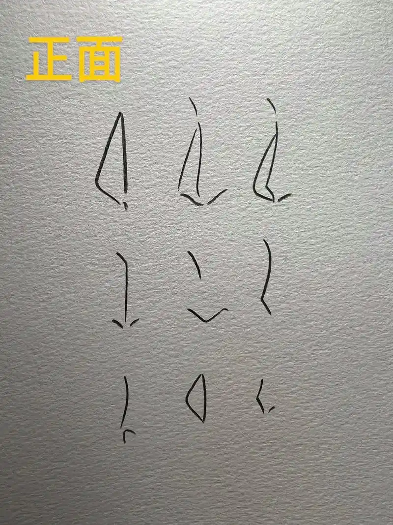 一学就会的#绘画分享 #手绘动漫人物 鼻子的画法