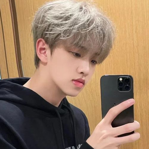 假头套男短发帅气逼真短直发自然蓬松空气刘海学生头男式发型发套