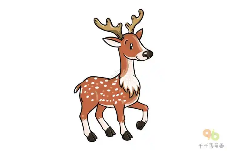 梅花鹿简笔画画法