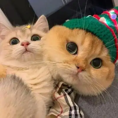 情侣头像超可爱情头 超明显超可爱cp_情侣头像_头像屋