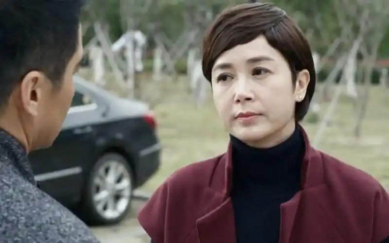 守婚如玉夫妻俩要离婚儿子意外受伤意外撮合两个人重归于好