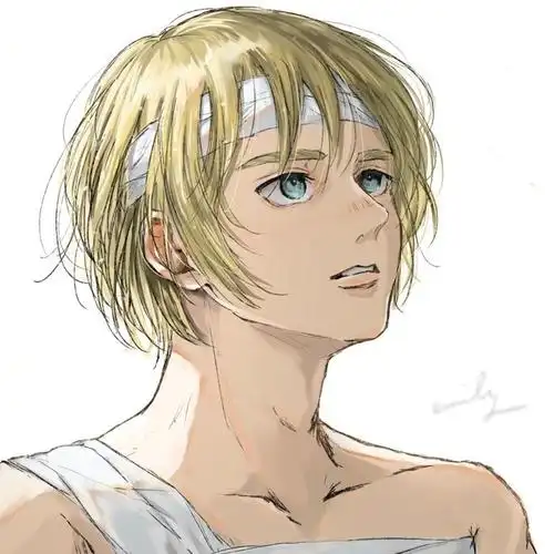 阿尔敏你帅的有点不对劲