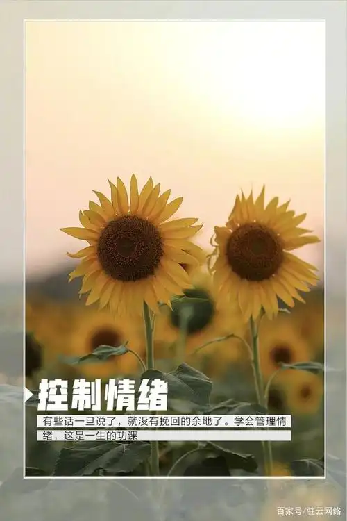 控制好自己的情绪