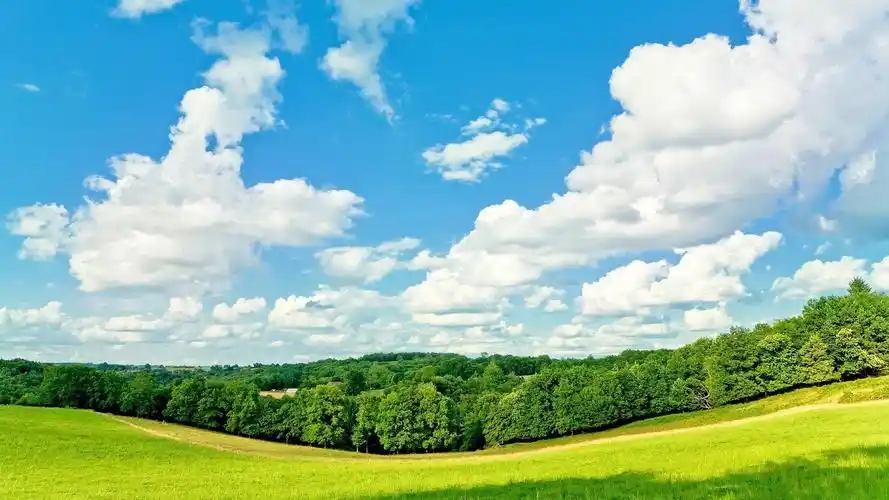桌面绿色风景壁纸大全护眼