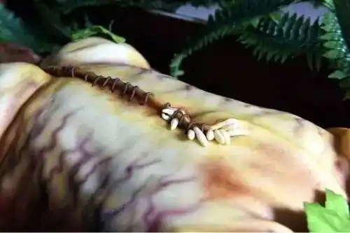 身体爬满了蛆,尸体看上去高度腐烂,整整花费了30个小时的时间才制作