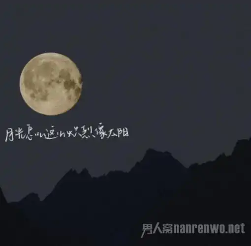 抖音经典文案大全这些句子一眼就爱上了