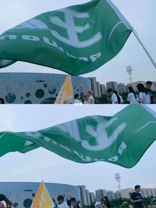 为王源举大旗,我们家旗子真的好大,路人都在说你这个咋这么大,哈哈哈