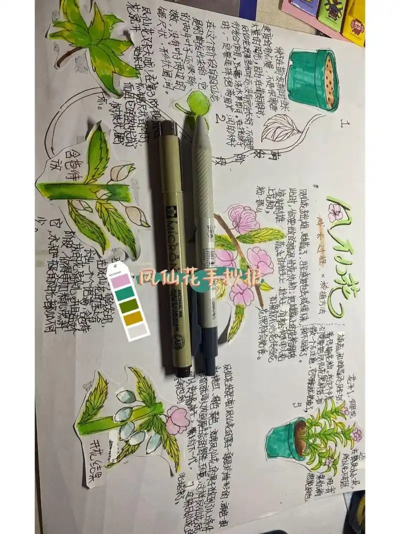 凤仙花手抄报90 插图灵感来源于百度上的一位大神97请大家多多