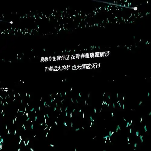 背景图朋友圈配文文字图句子演唱会歌词我好想好想好想爱这个世界