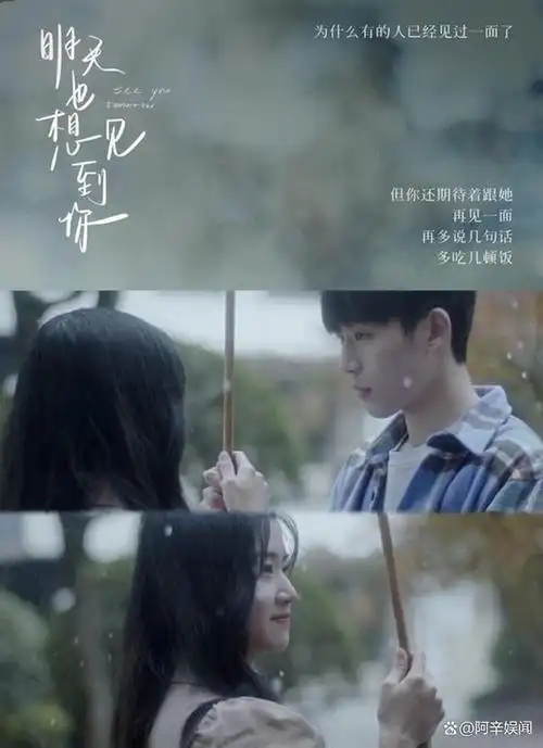 猫的树",这位才华横溢的导演,以捕捉青春,纯爱与高质感的微电影