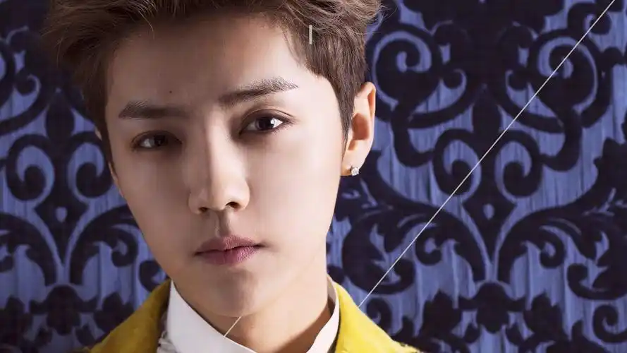 内地明星鹿晗明星风尚壁纸14