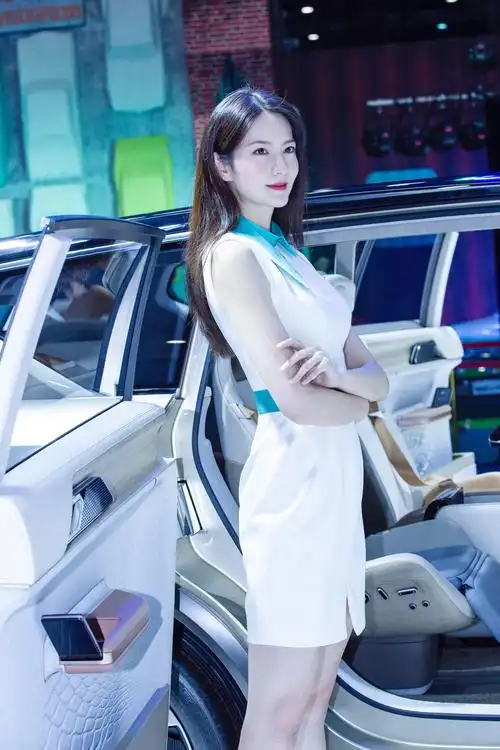 成都车展一览(车模篇)