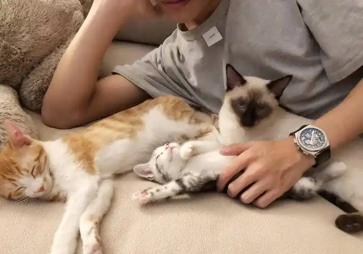 《朋友请听好》晒出新图,易烊千玺抱着两个漂亮宝贝,让人羡慕_节目