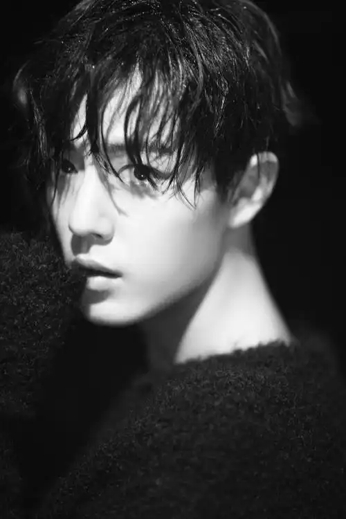 肖战哥哥的小可爱 的喜欢