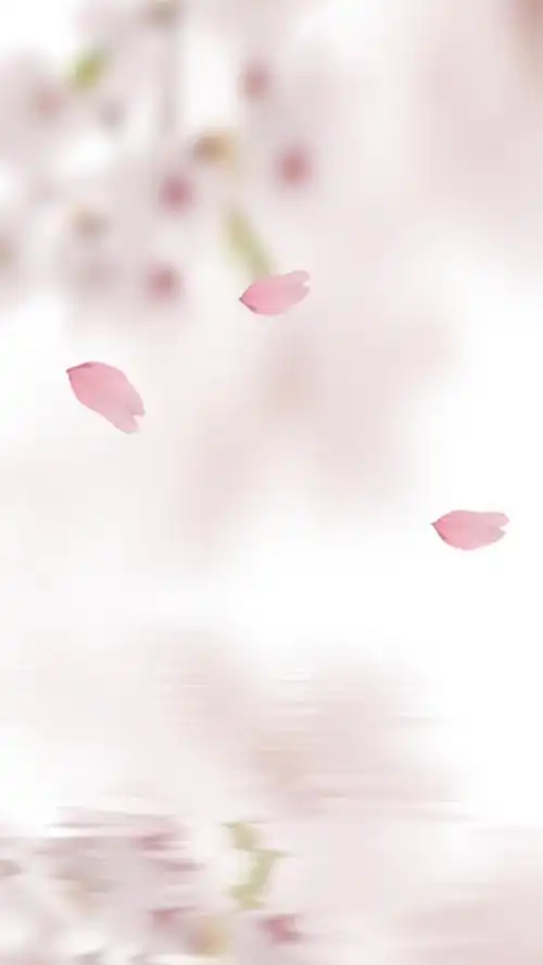 粉红淡雅花瓣psd分层h5背景素材