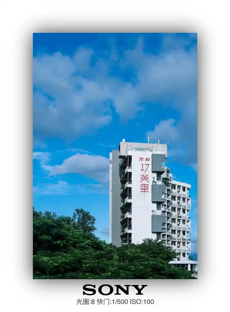 深圳最美s形傍海公路