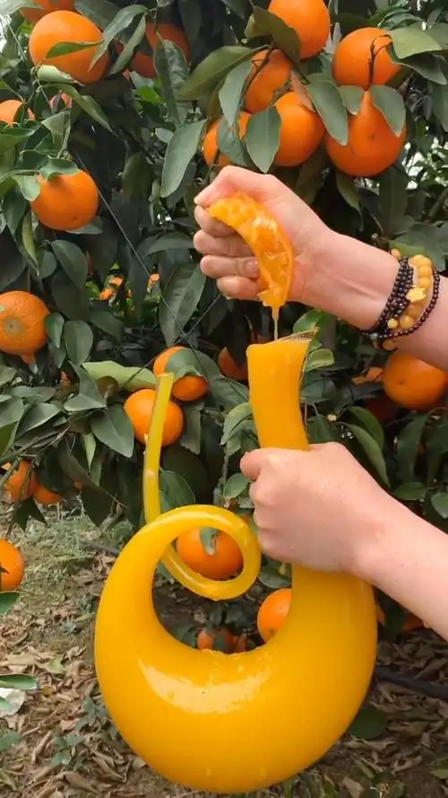 爆汁橙子 视频下方购物袋就有