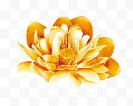 金色莲花