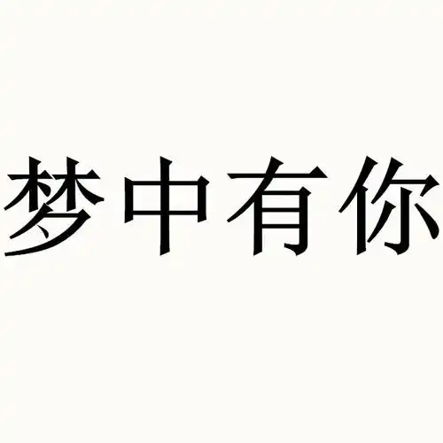 梦中有你