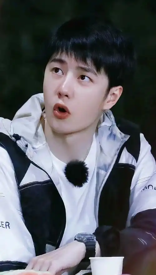 江西卫视可爱版王一博