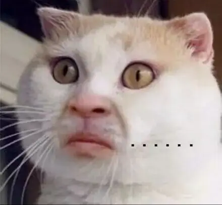 (嘟嘴)_表情包_斗图图片