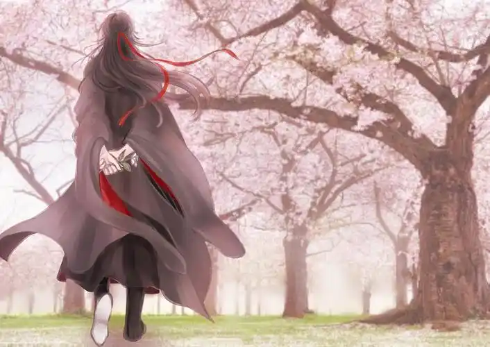 忘羡- 堆糖,美图壁纸兴趣社区