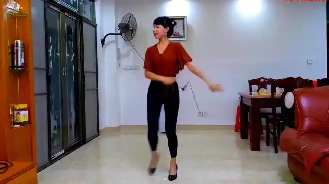 广场舞《缘来缘去》