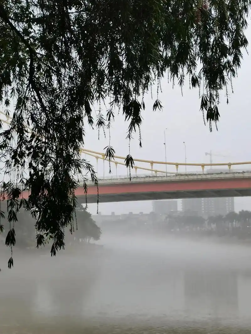 春雨贵如油物以稀唯美雨露甘霖诗情画意雨水节气烟雨雾蒙蒙只有春夏冬