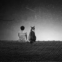 黑白伤感唯美意境男生头像