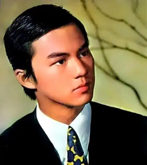 狄龙与太太14岁相识婚后生一儿子幸福美满