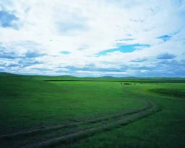 /a>的一种,分为 a target="_blank" href="/item/热带草原/5817119"