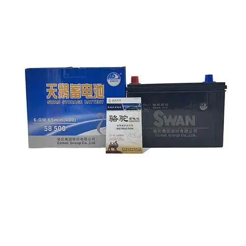 骆驼天鹅牌汽车电瓶五菱荣光之光宏光面包车北汽威旺12v48a蓄电池
