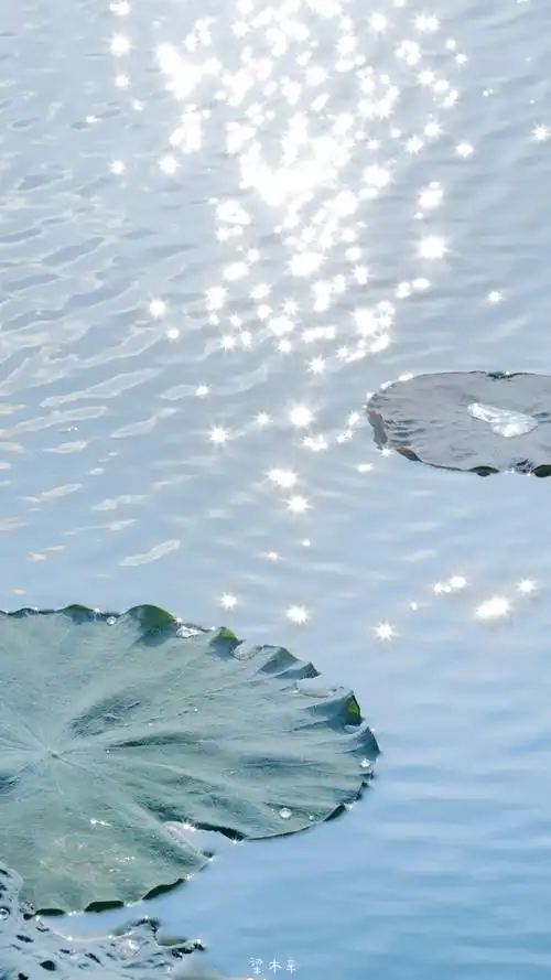 夏天～ - 堆糖,美图壁纸兴趣社区