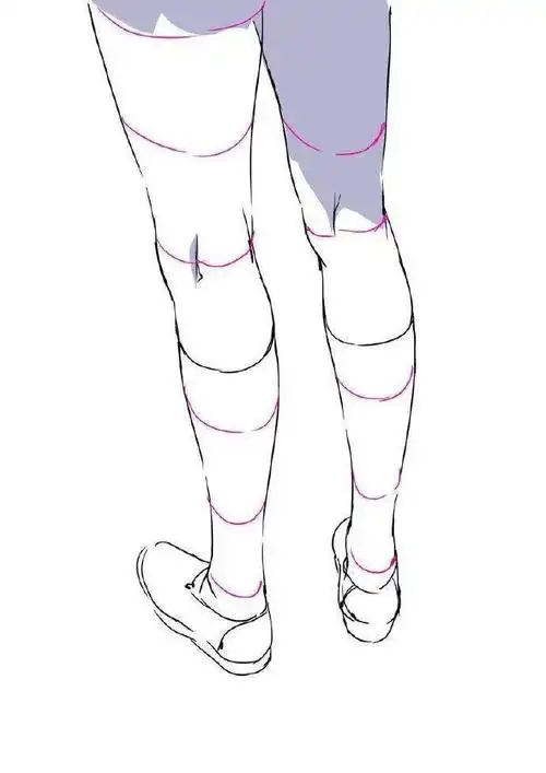 人体素材|腿部绘画练习 漫画少女腿部画法