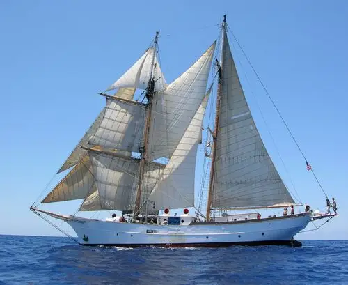 酬谢帆船抠出来. 素材我来给.谢谢.酬谢 帆船抠出来.