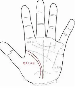 有两条生命线,是长寿的象征吗?